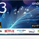 チューナーレステレビの解説と注意点