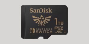 このNintendo Switch用microSDカードがあればゲームを削除する必要はないでしょう